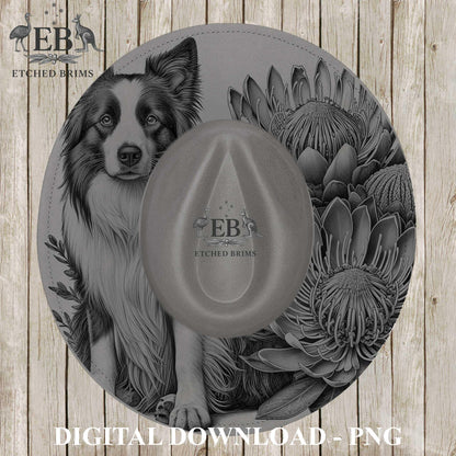 Border Collie Dog Hat Engraving Template, Proteas, PNG for Laser Hat Burning, PDF for Hand Burning Design, Digital Download – EB1233