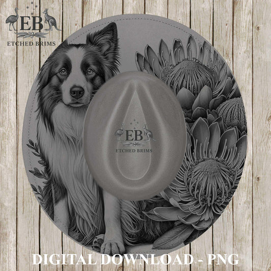 Border Collie Dog Hat Engraving Template, Proteas, PNG for Laser Hat Burning, PDF for Hand Burning Design, Digital Download – EB1233